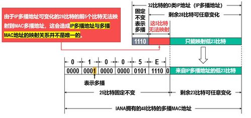 计算机网络核心 深入剖析网络层