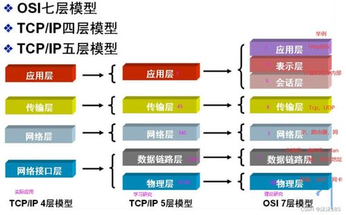 计算机网络协议基础知识与网站设计入门
